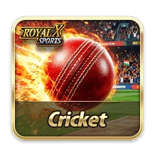 Cricket